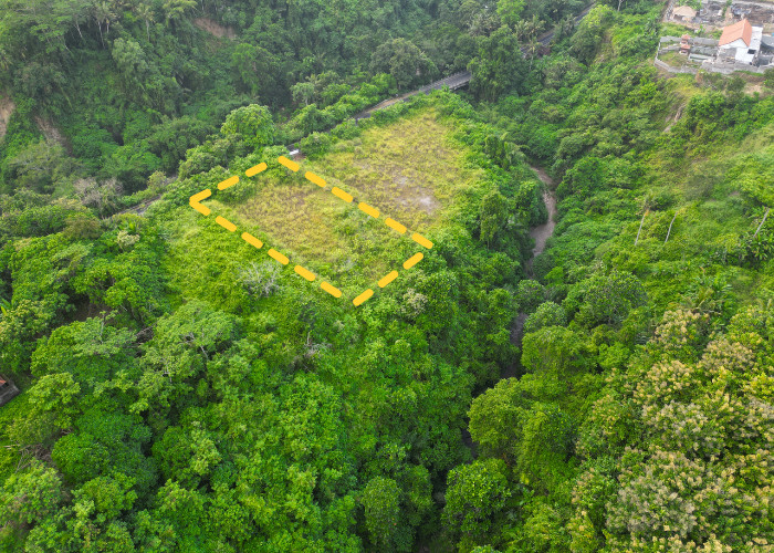 LAHAN CANTIK DEKAT SUKAWATI DAN AIR TERJUN TEGENUNGAN