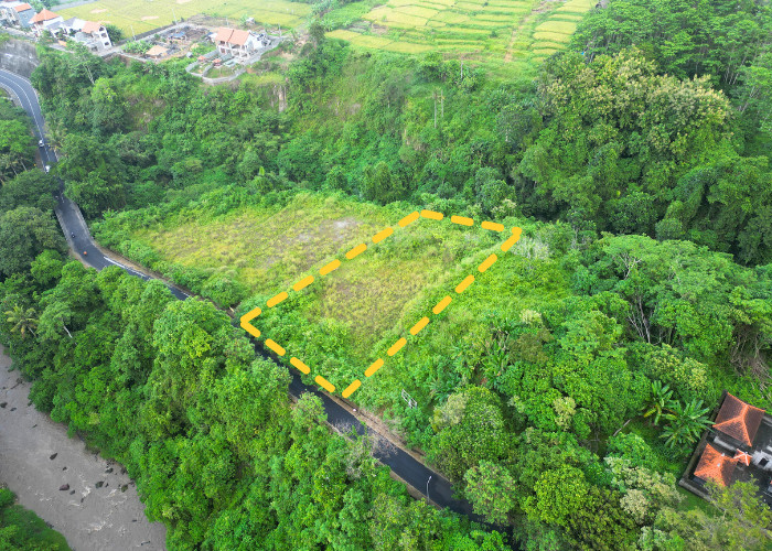 LAHAN CANTIK DEKAT SUKAWATI DAN AIR TERJUN TEGENUNGAN
