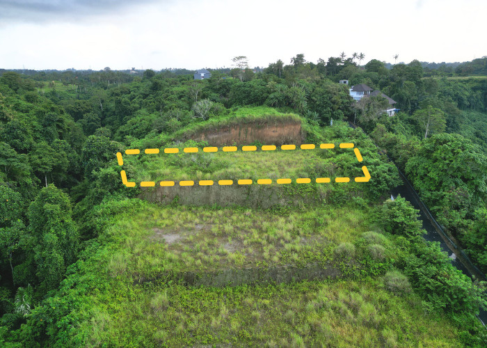 LAHAN CANTIK DEKAT SUKAWATI DAN AIR TERJUN TEGENUNGAN