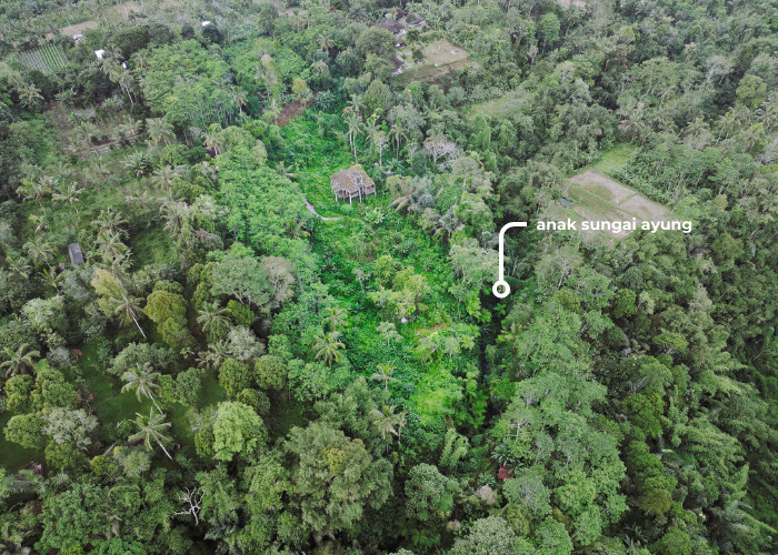 LAHAN AKSES JALAN RAYA DAN SUNGAI AYUNG DI PAYANGAN BALI