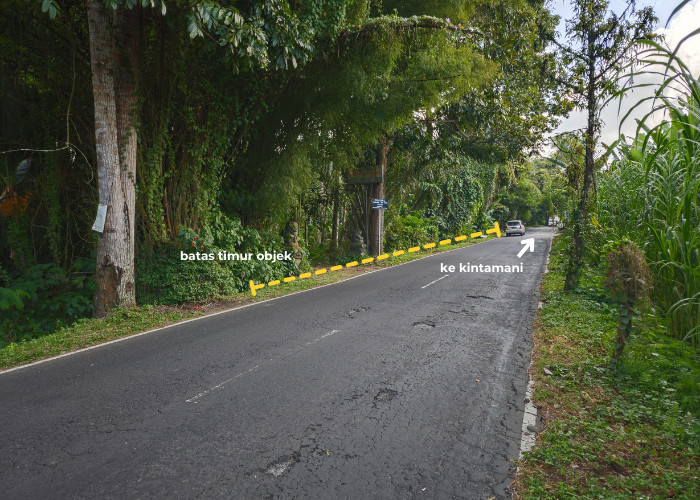LAHAN AKSES JALAN RAYA DAN SUNGAI AYUNG DI PAYANGAN BALI