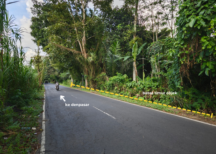 LAHAN AKSES JALAN RAYA DAN SUNGAI AYUNG DI PAYANGAN BALI