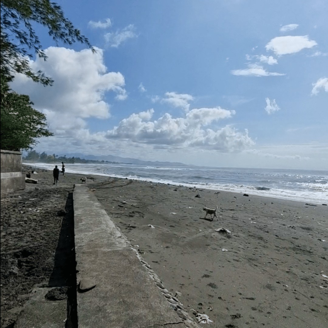 DISEWAKAN TANAH PINGGIR PANTAI SABA