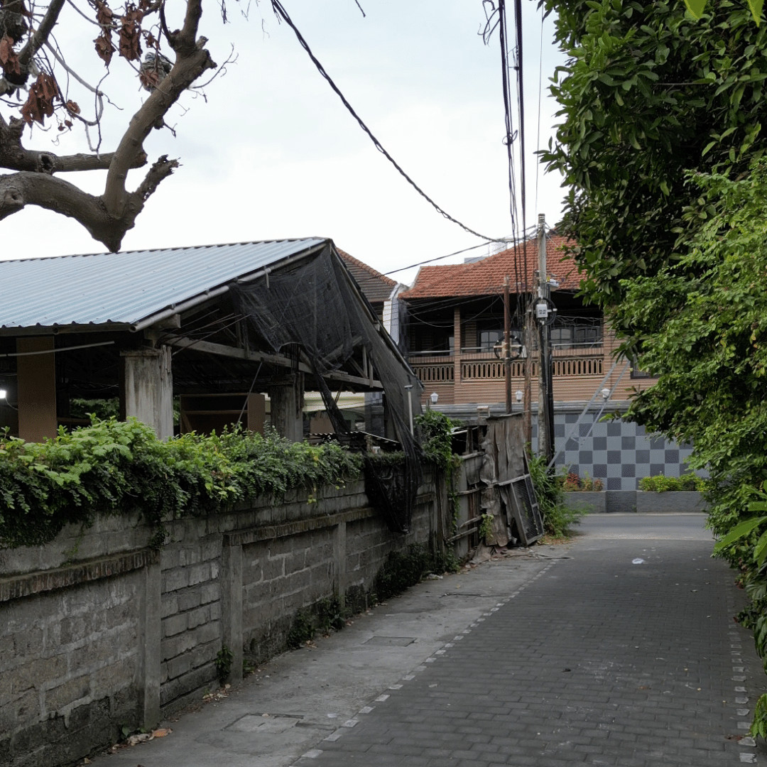 LAHAN EXCLUSIVE TANIMBAR SANGLAH