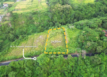 LAHAN CANTIK DEKAT SUKAWATI DAN AIR TERJUN TEGENUNGAN